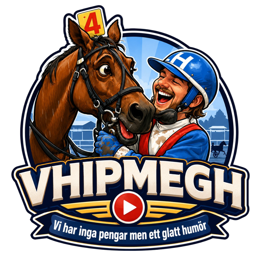 VHIPMEGH
